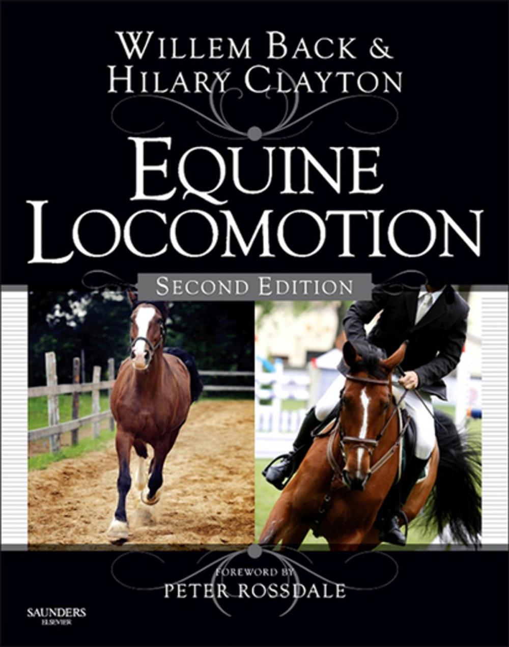 Big bigCover of Equine Locomotion