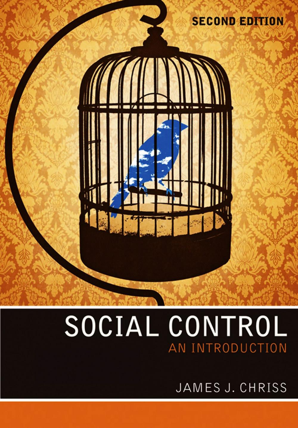 Big bigCover of Social Control