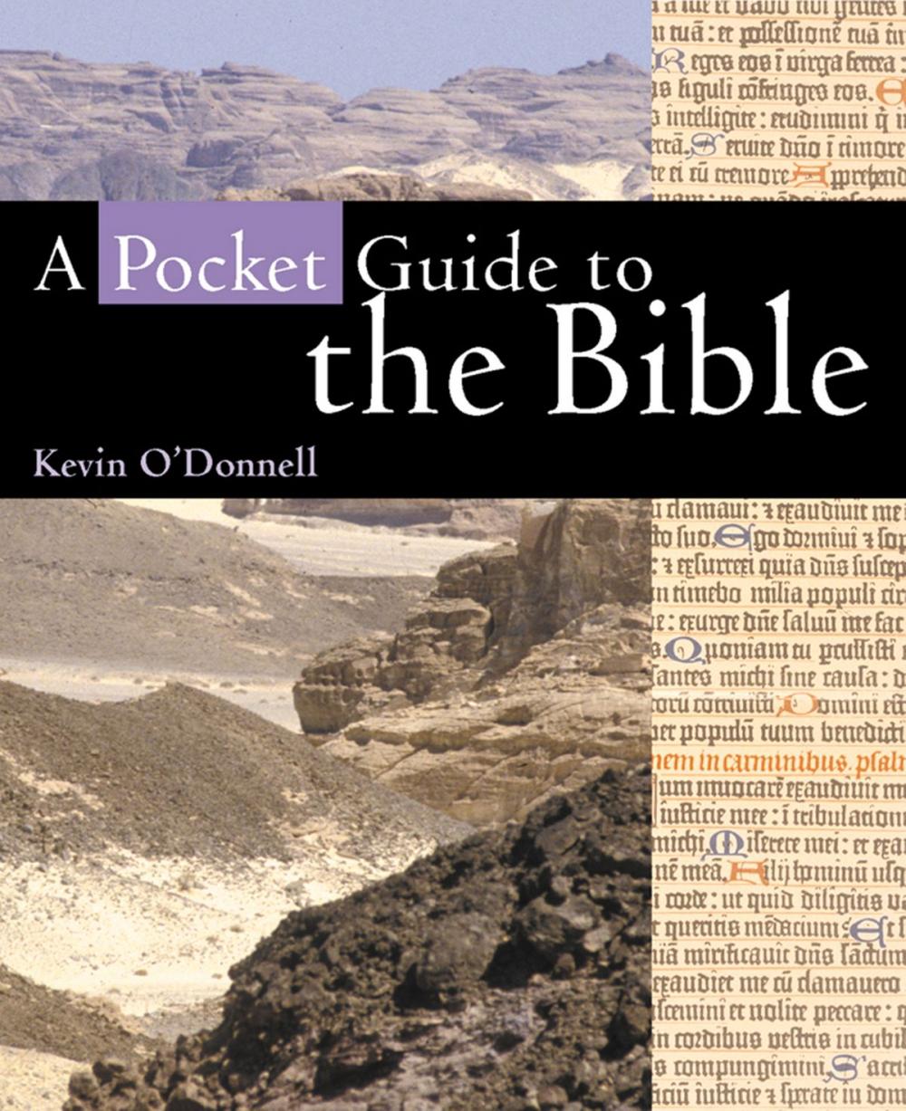 Big bigCover of A Pocket Guide to the Bible