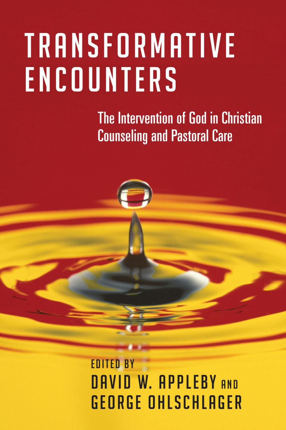 Big bigCover of Transformative Encounters