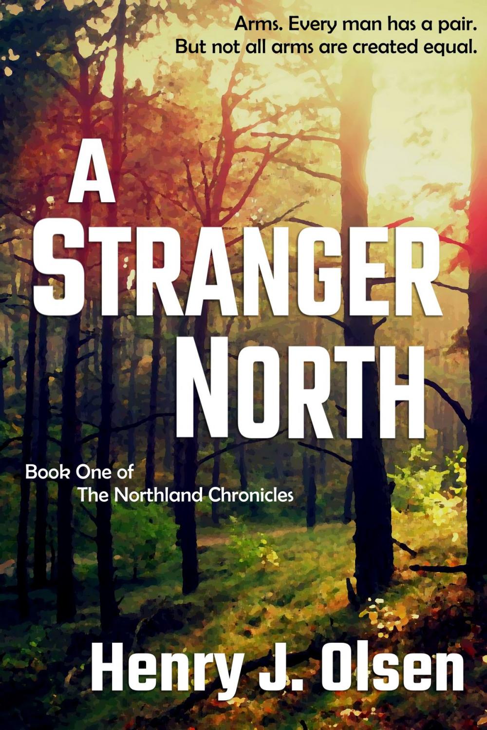 Big bigCover of A Stranger North