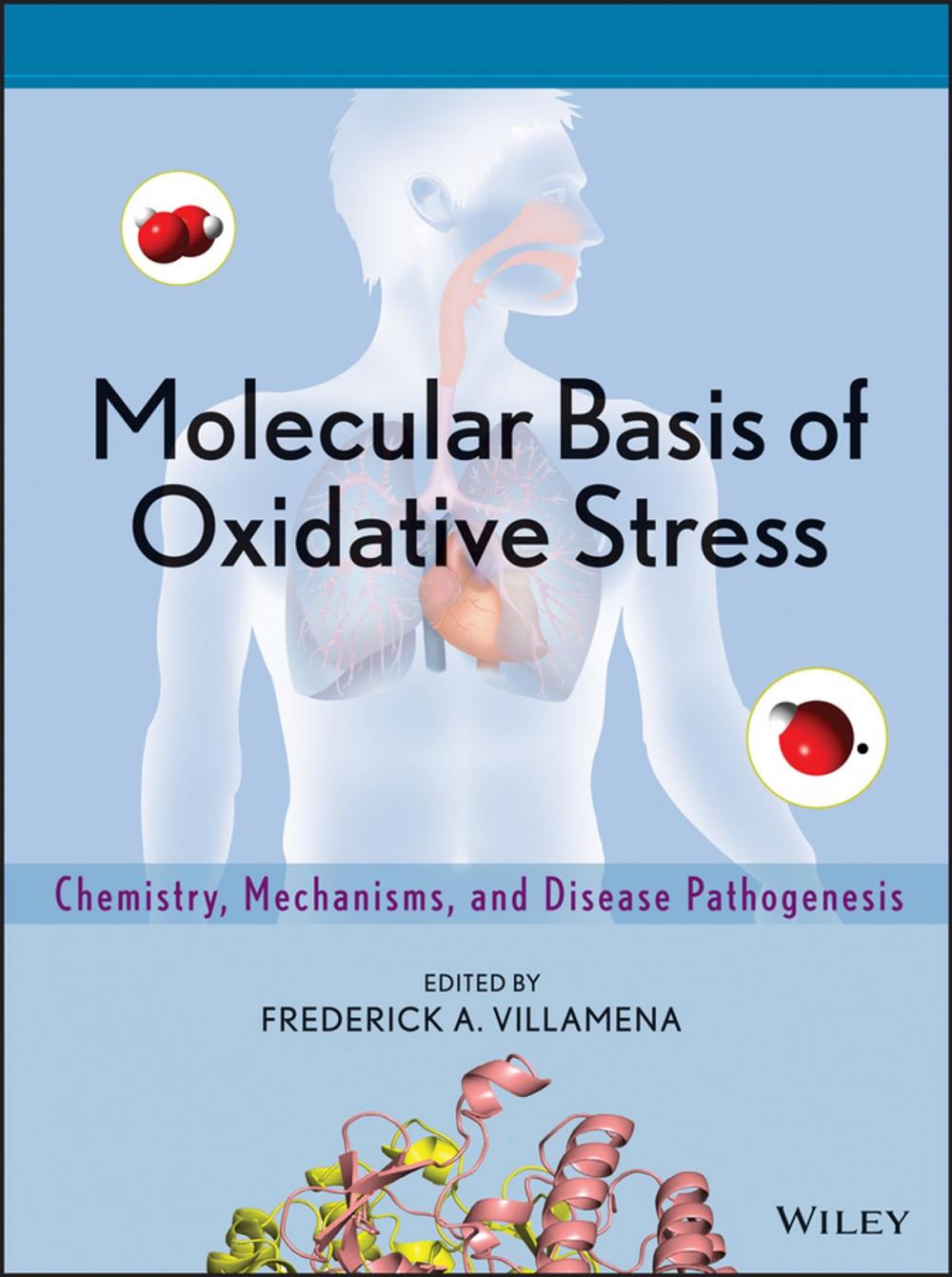 Big bigCover of Molecular Basis of Oxidative Stress