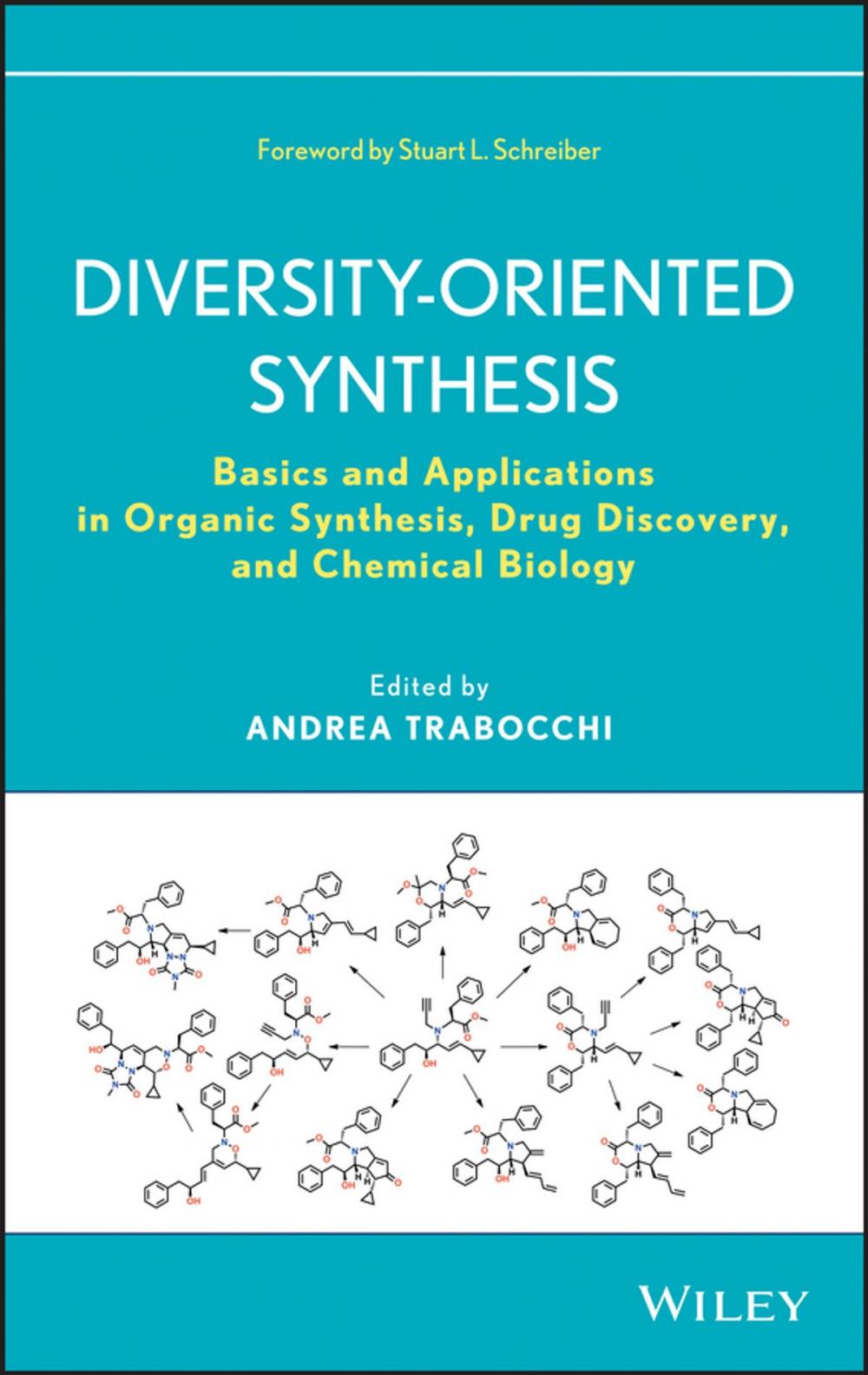 Big bigCover of Diversity-Oriented Synthesis