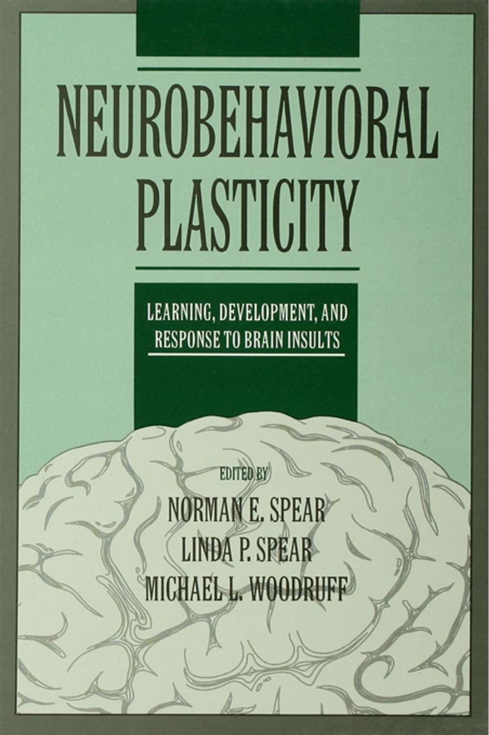 Big bigCover of Neurobehavioral Plasticity
