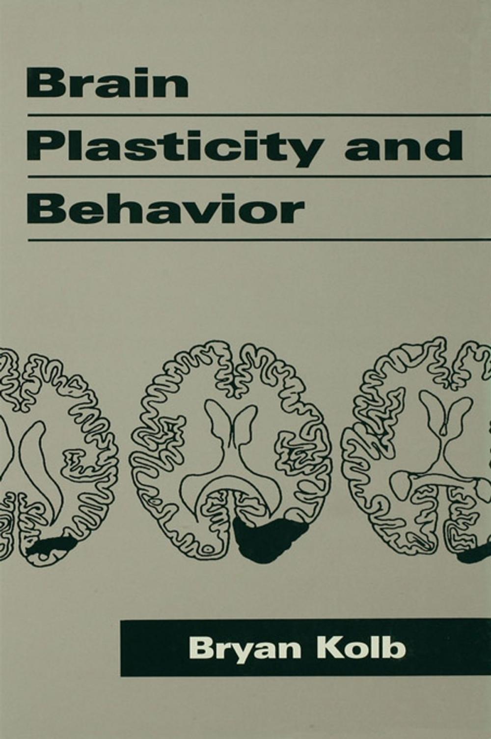 Big bigCover of Brain Plasticity and Behavior