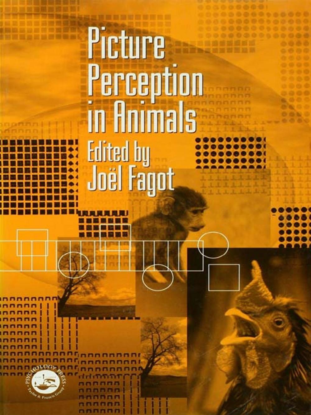 Big bigCover of Picture Perception in Animals