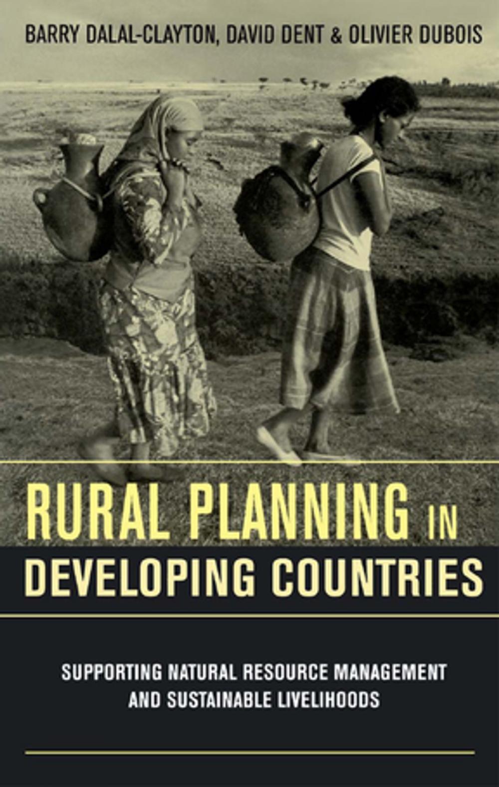 Big bigCover of Rural Planning in Developing Countries