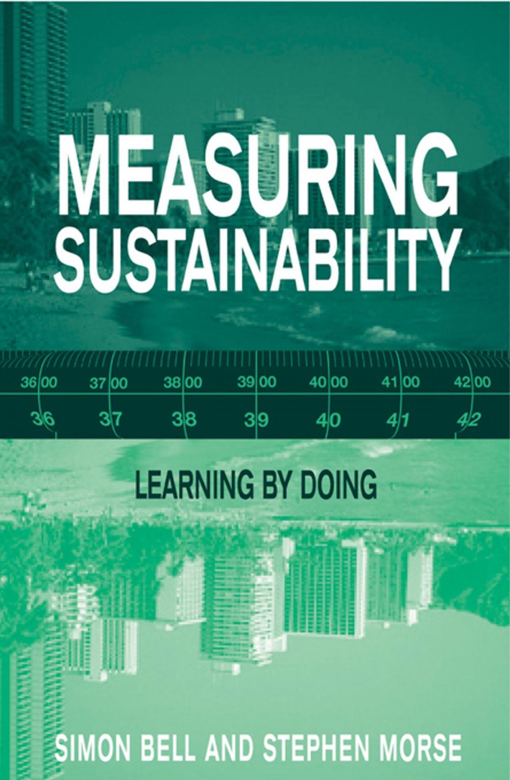 Big bigCover of Measuring Sustainability