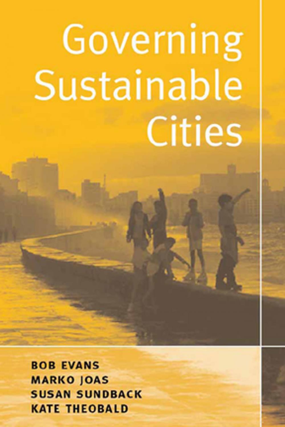 Big bigCover of Governing Sustainable Cities