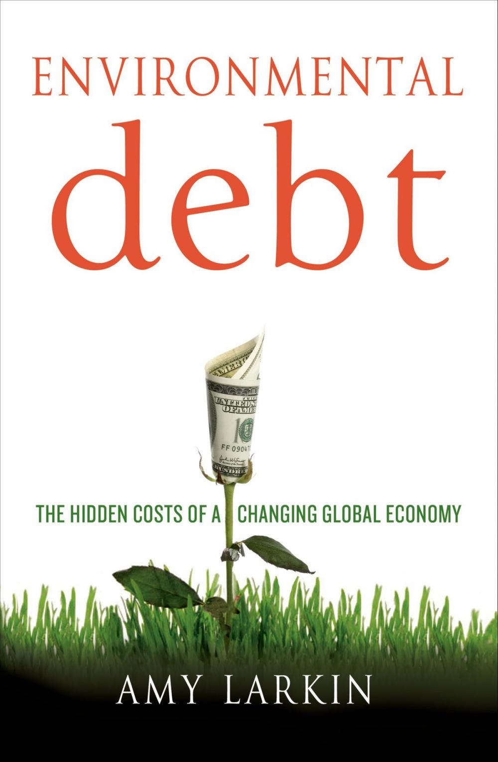 Big bigCover of Environmental Debt