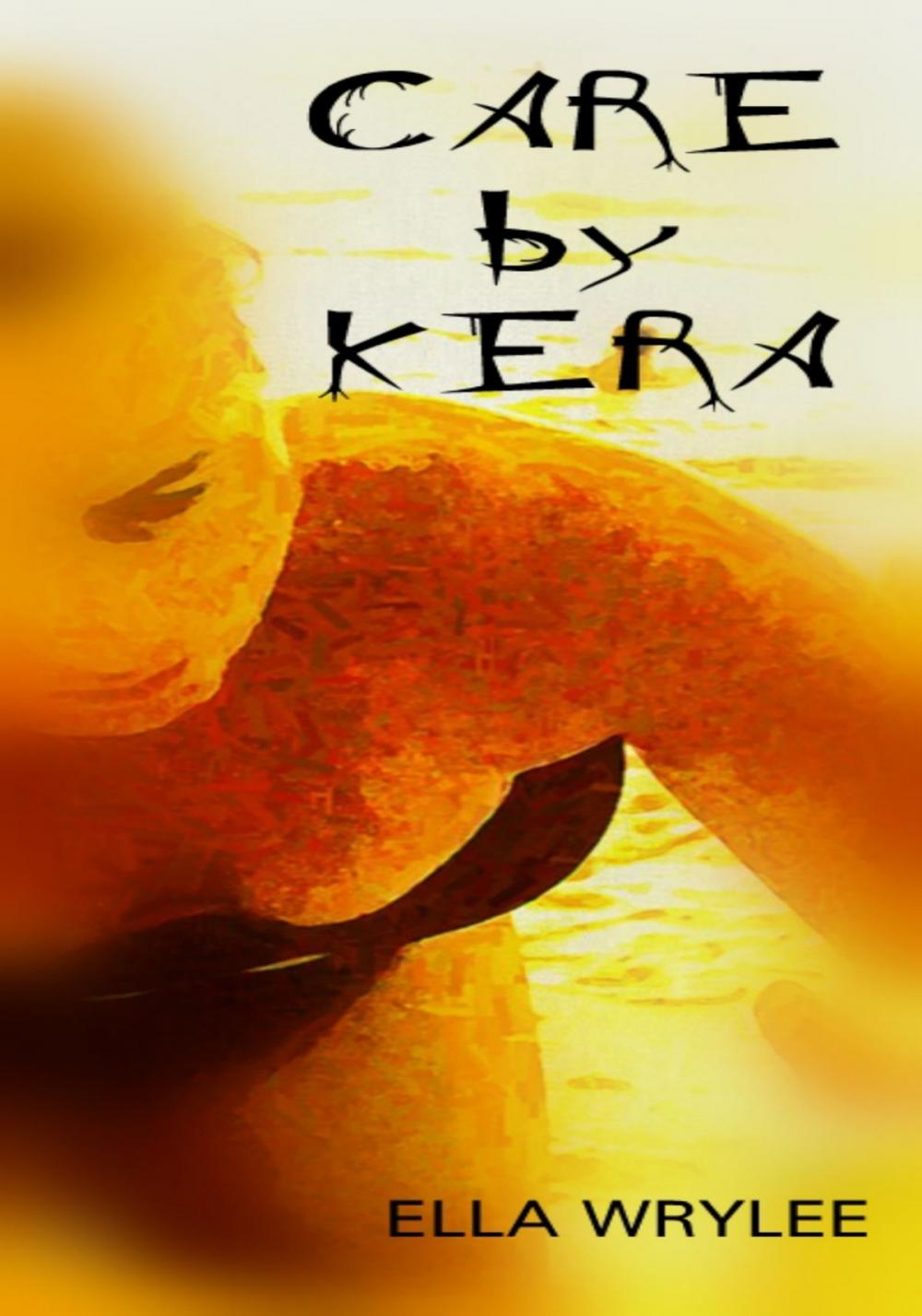 Big bigCover of Care by Kera