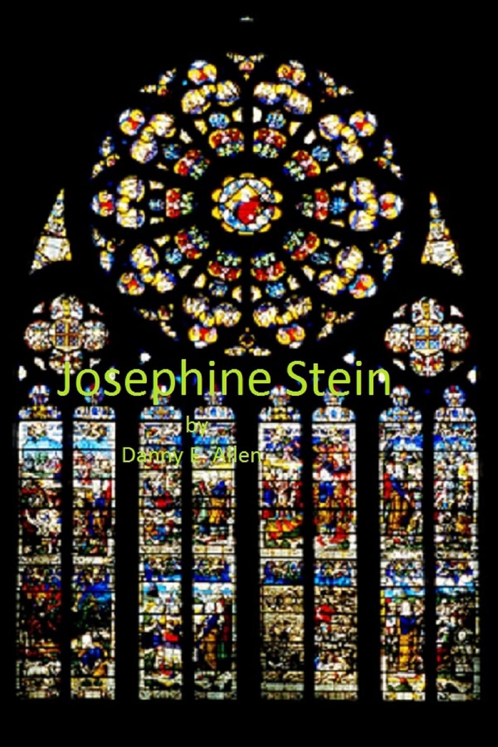 Big bigCover of Josephine Stein