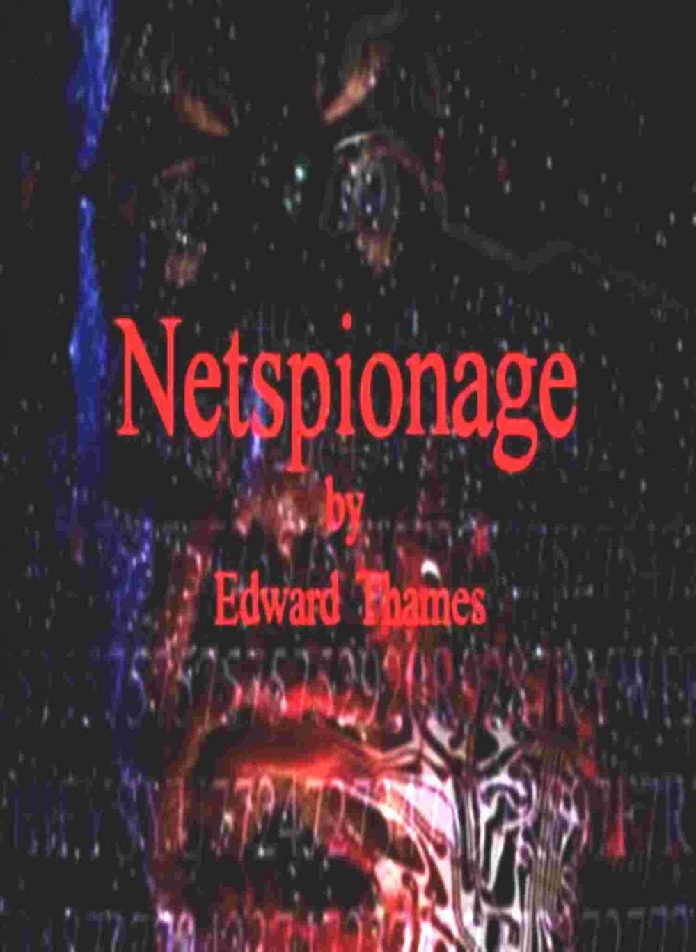 Big bigCover of Netspionage