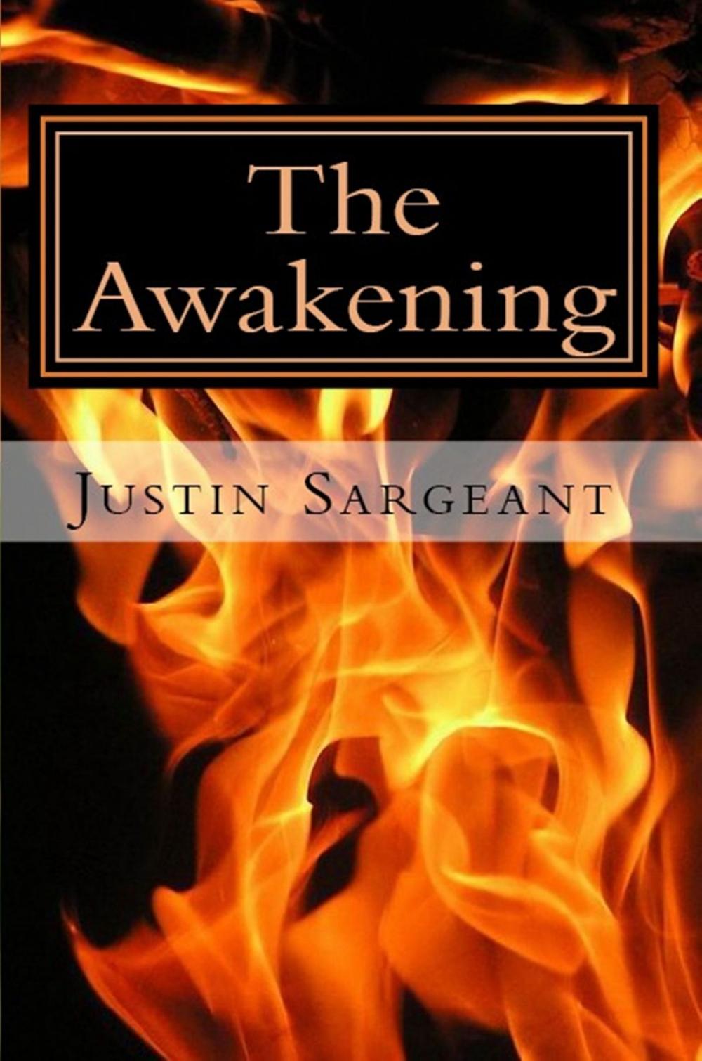 Big bigCover of The Awakening