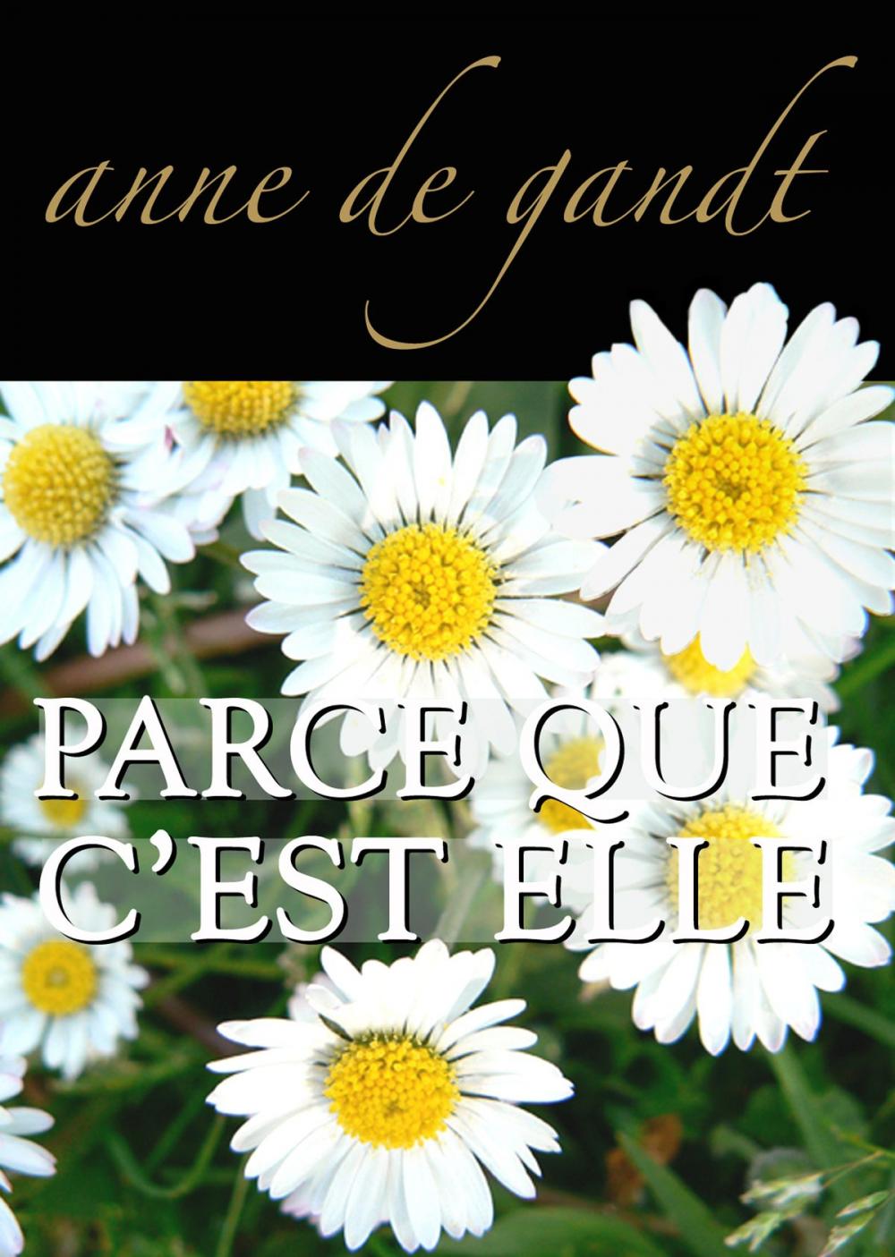 Big bigCover of Parce que c'est elle (Saison 3)