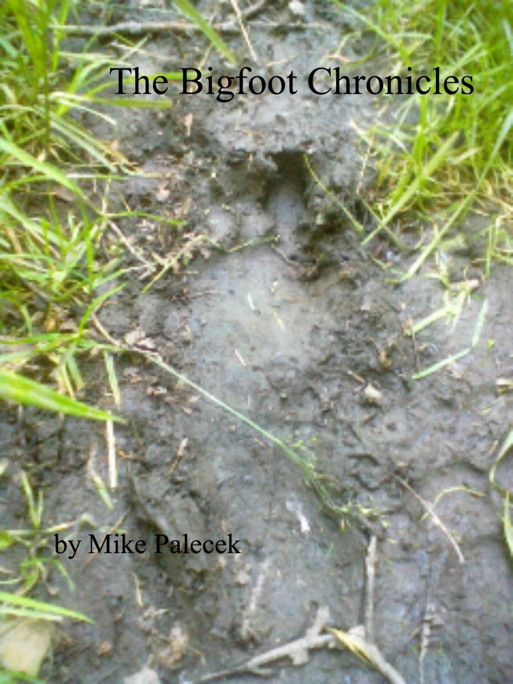 Big bigCover of The Bigfoot Chronicles