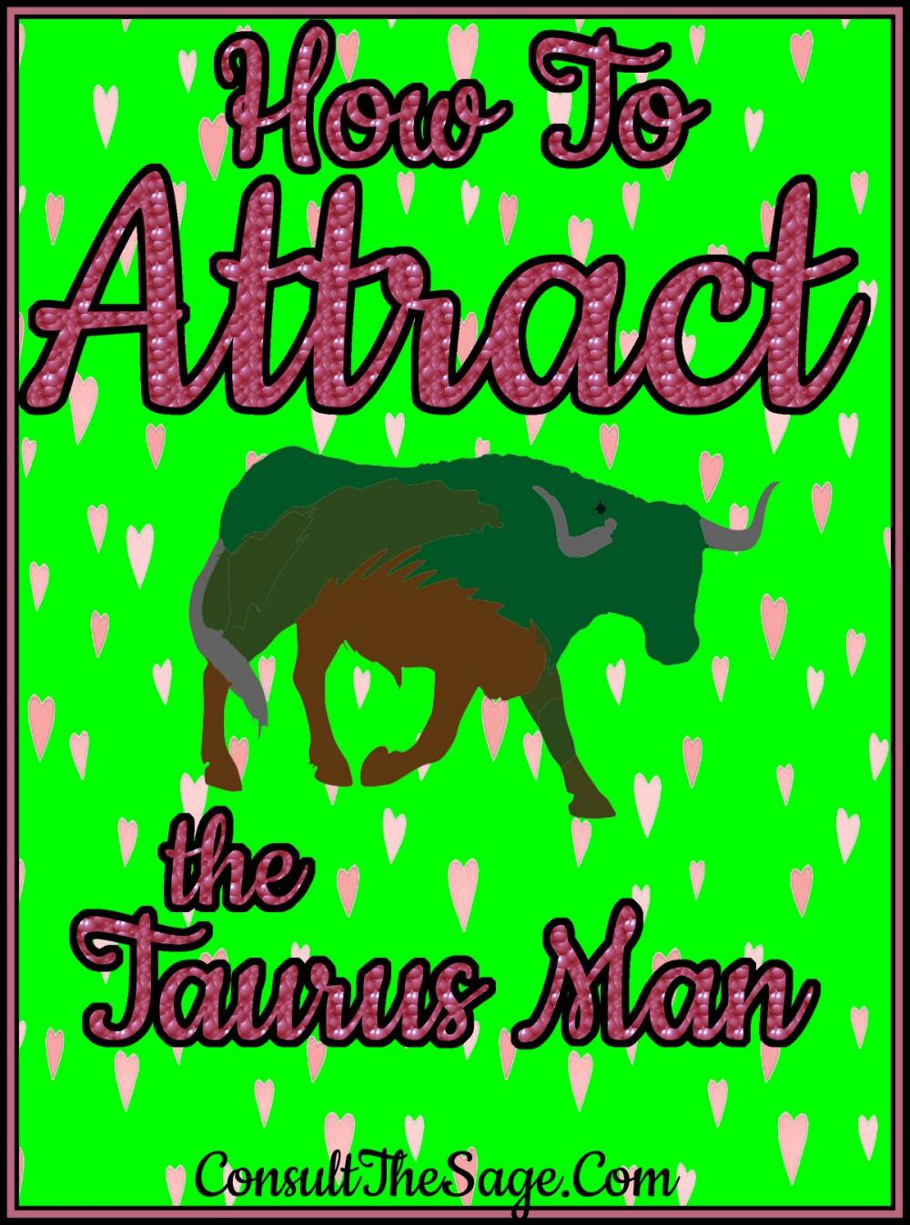 Big bigCover of How To Attract the Taurus Man