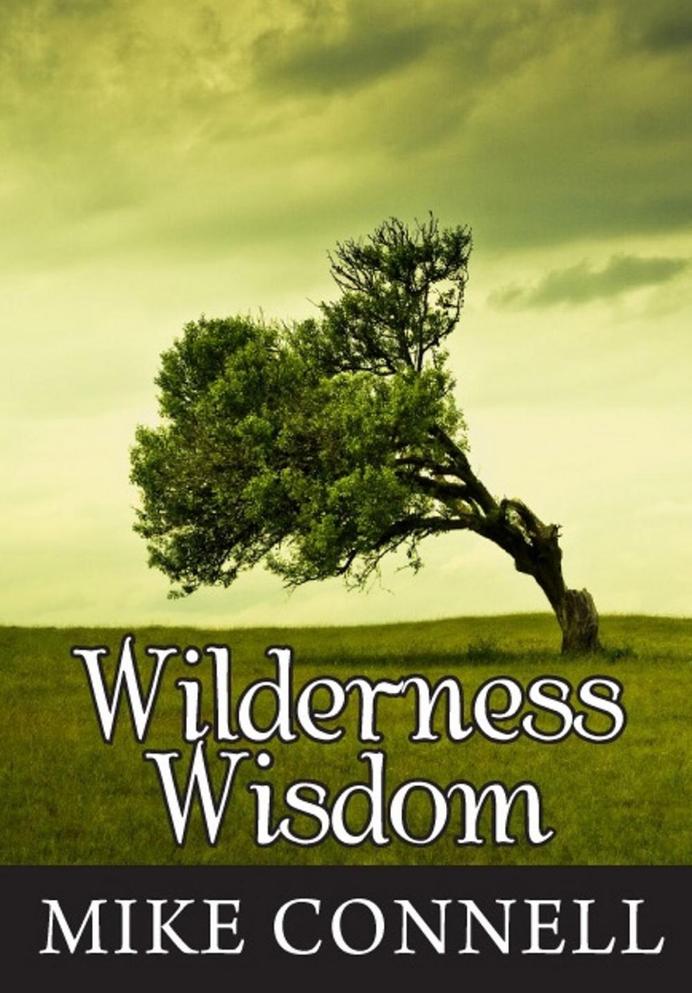 Big bigCover of Wilderness Wisdom (4 sermons)