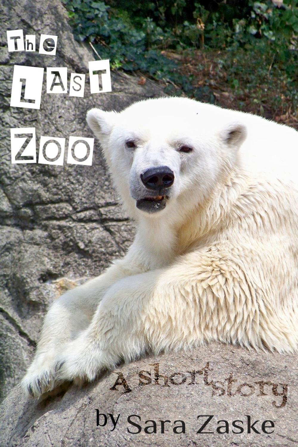 Big bigCover of The Last Zoo, a short story