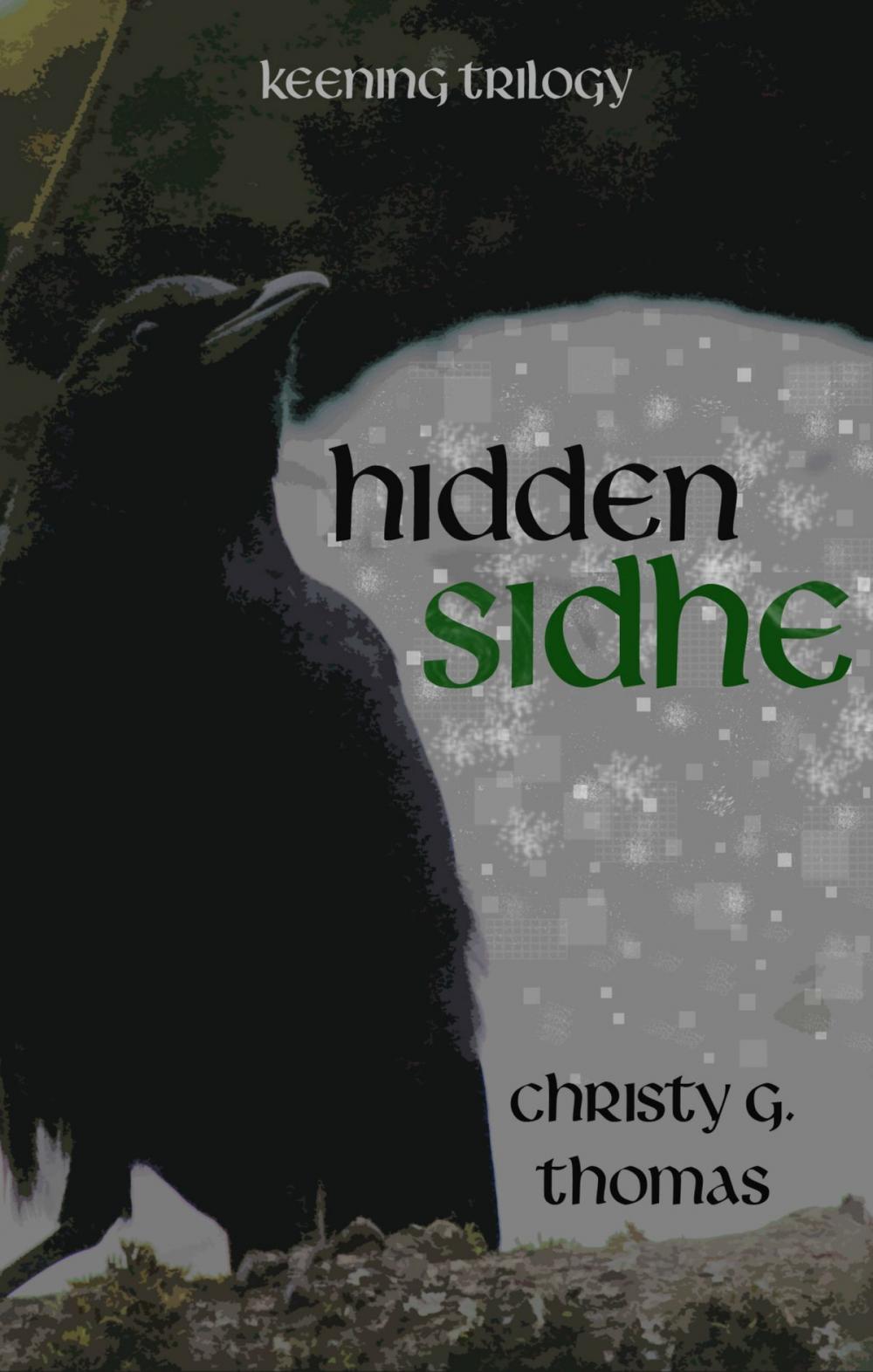 Big bigCover of Hidden Sidhe