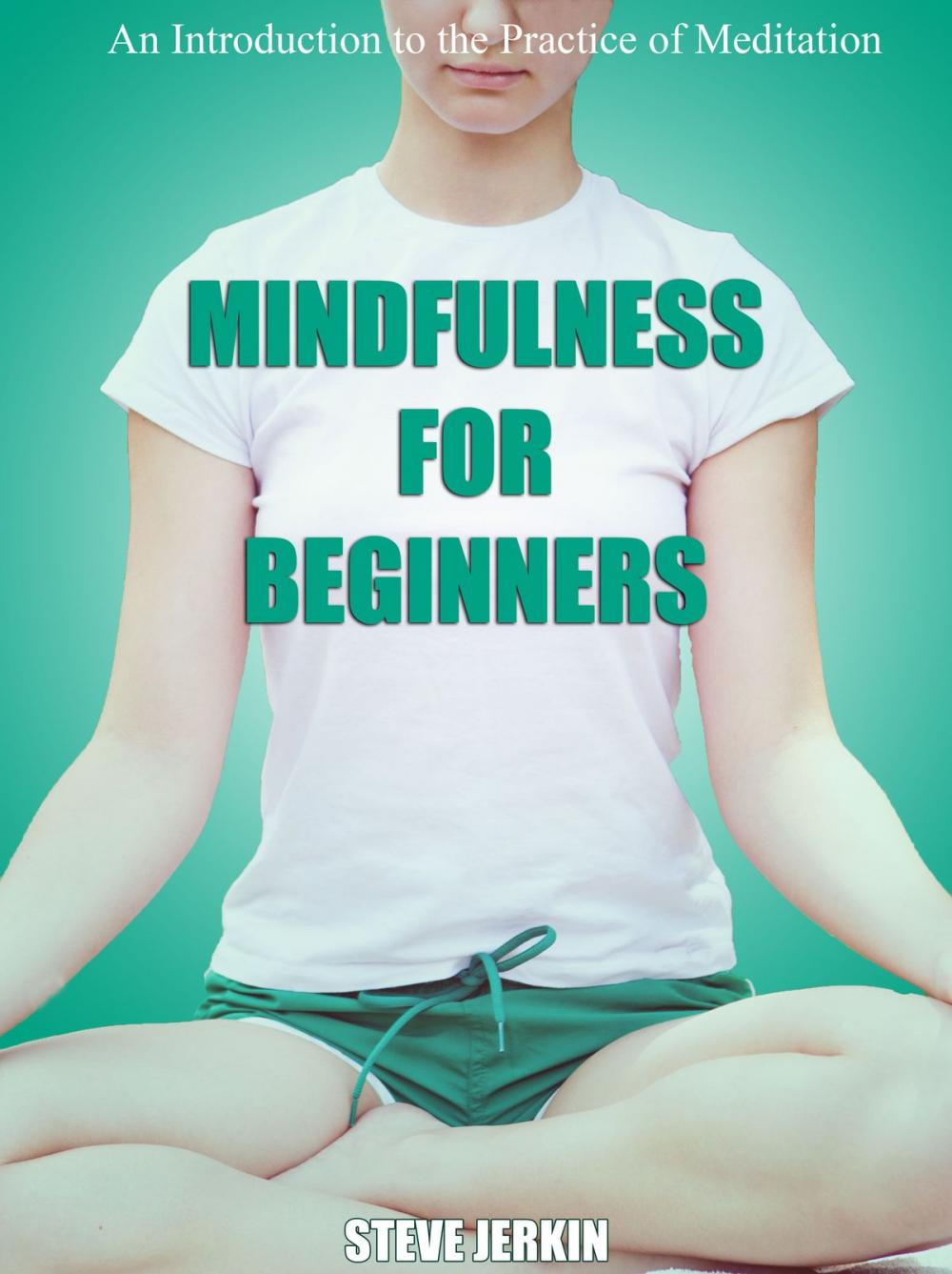 Big bigCover of Mindfulness for Beginners: An Introduction to the Practice of Meditation