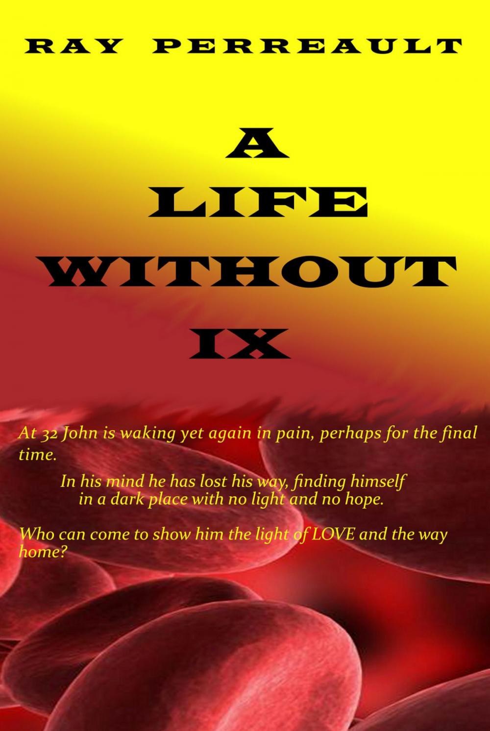 Big bigCover of A Life Without IX