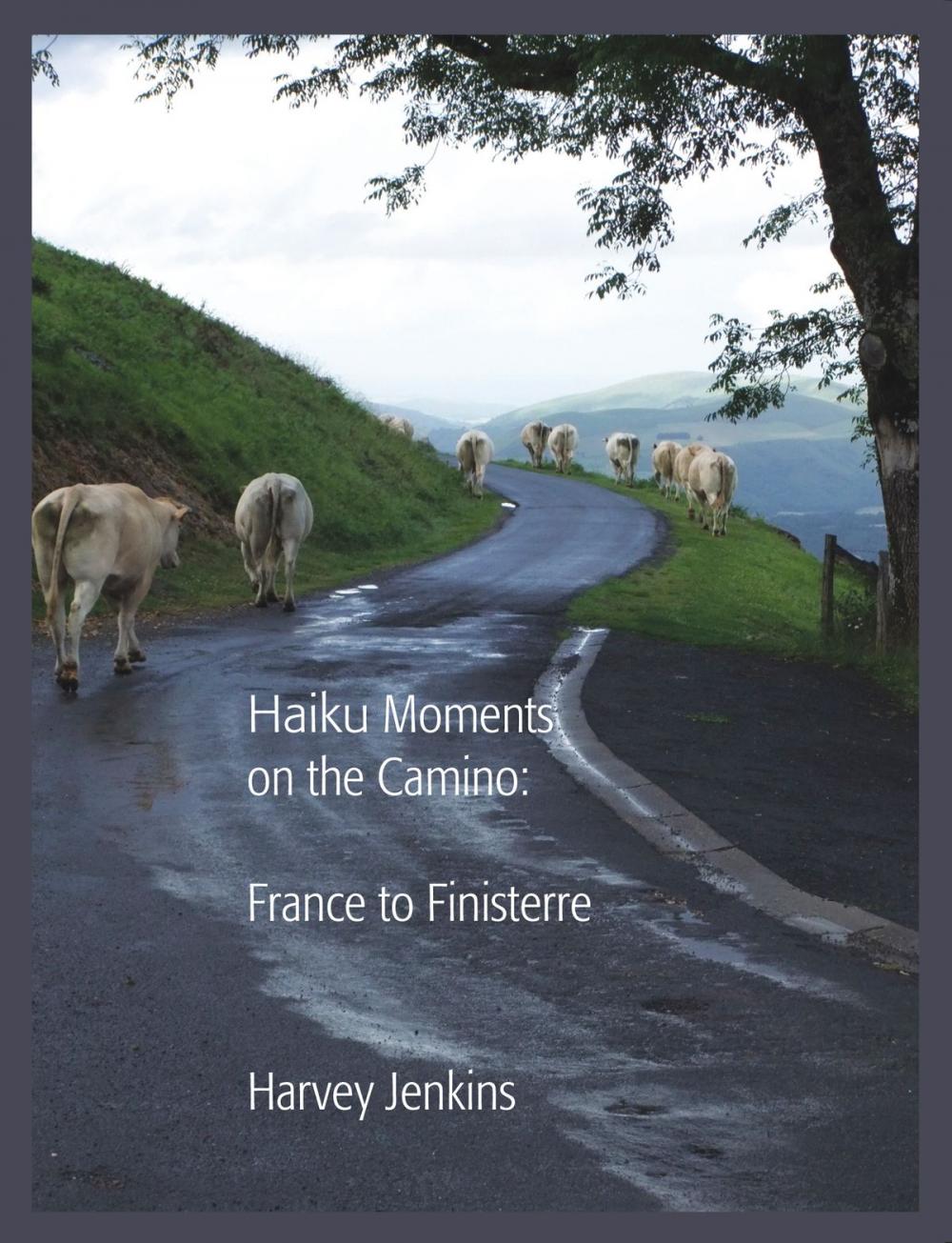 Big bigCover of Haiku Moments On the Camino: France to Finisterre