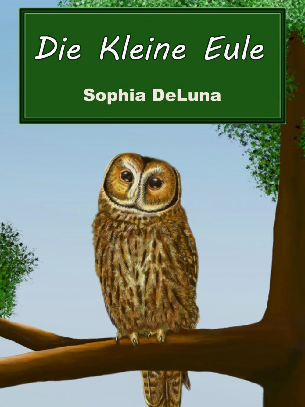 Big bigCover of Die Kleine Eule