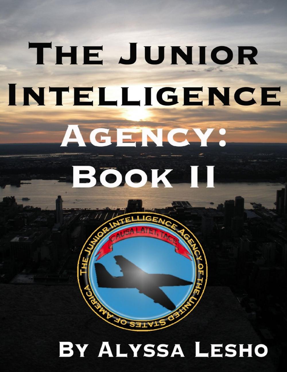 Big bigCover of The Junior Intelligence Agency: Book 2