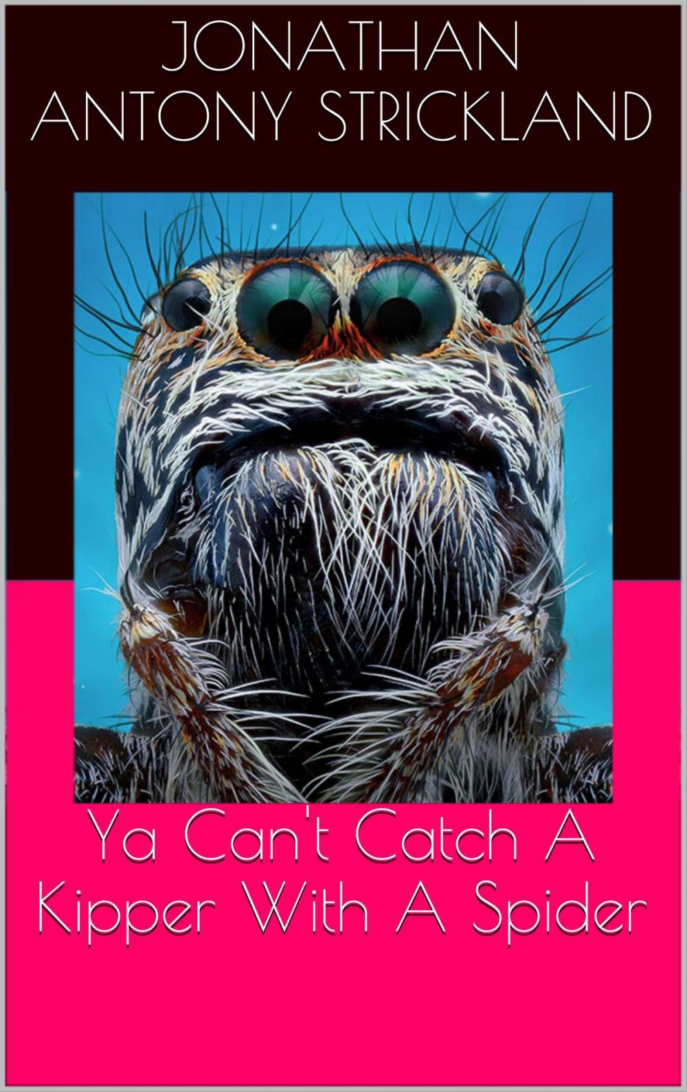 Big bigCover of Ya Can't Catch A Kipper With A Spider