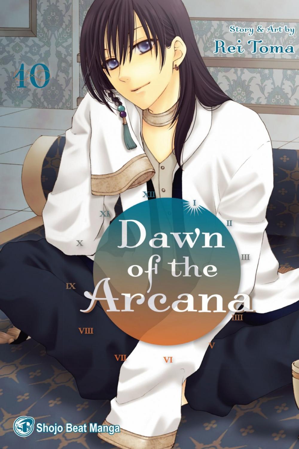 Big bigCover of Dawn of the Arcana, Vol. 10