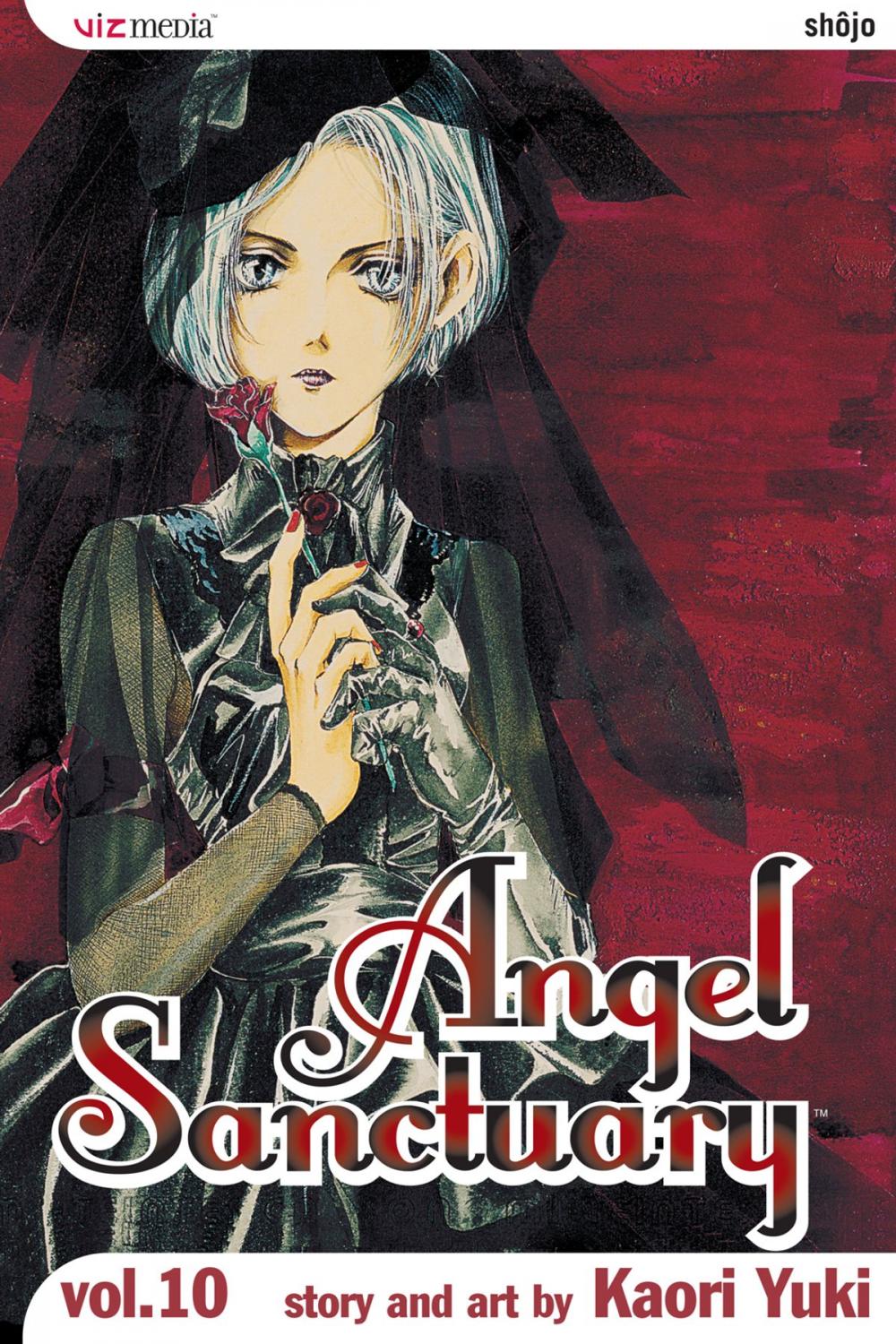 Big bigCover of Angel Sanctuary, Vol. 10