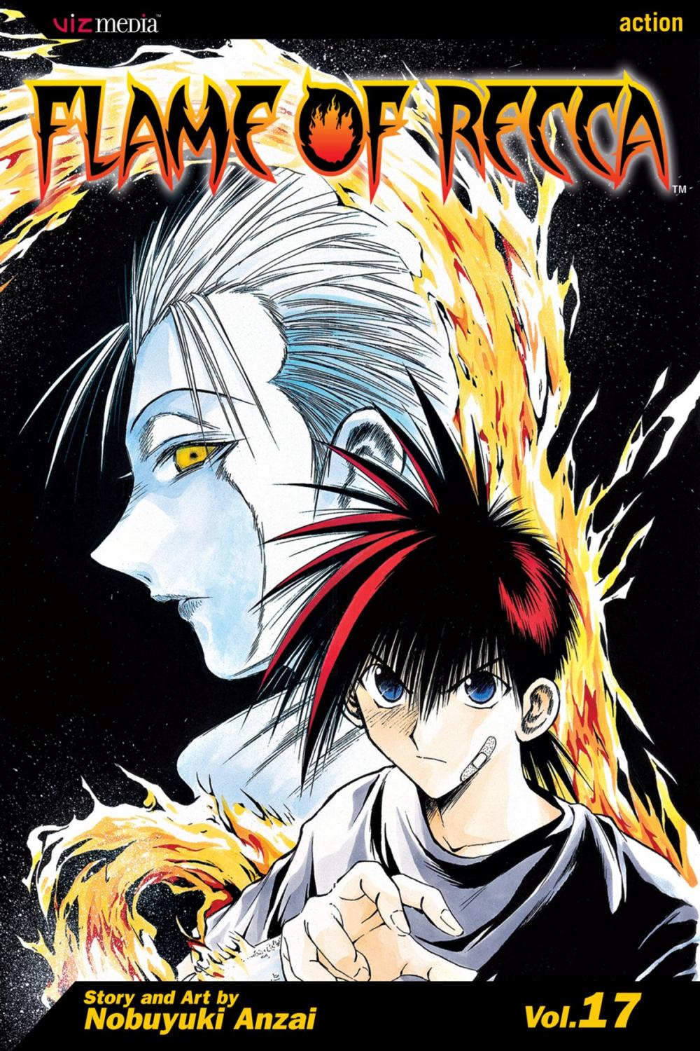 Big bigCover of Flame of Recca, Vol. 17