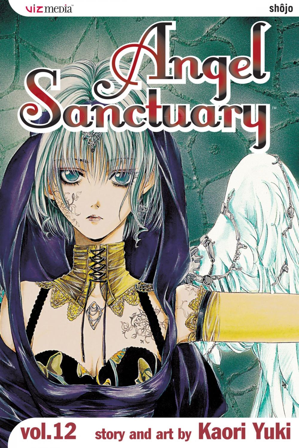 Big bigCover of Angel Sanctuary, Vol. 12