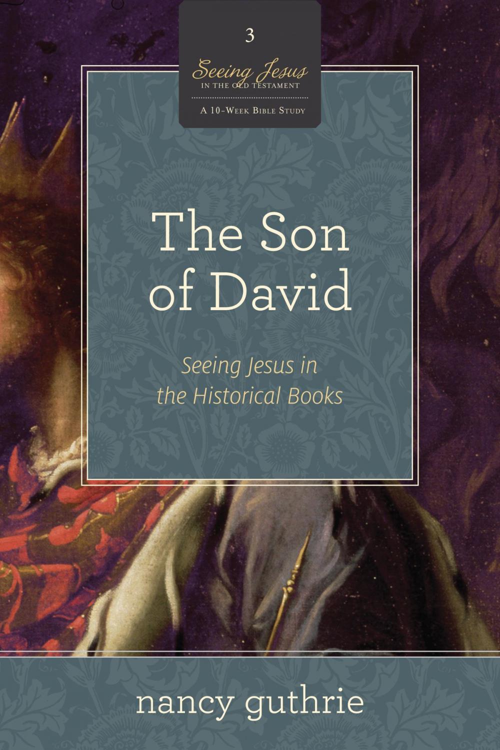 Big bigCover of The Son of David (A 10-week Bible Study)