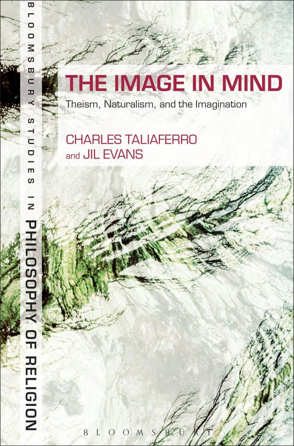 Big bigCover of The Image in Mind