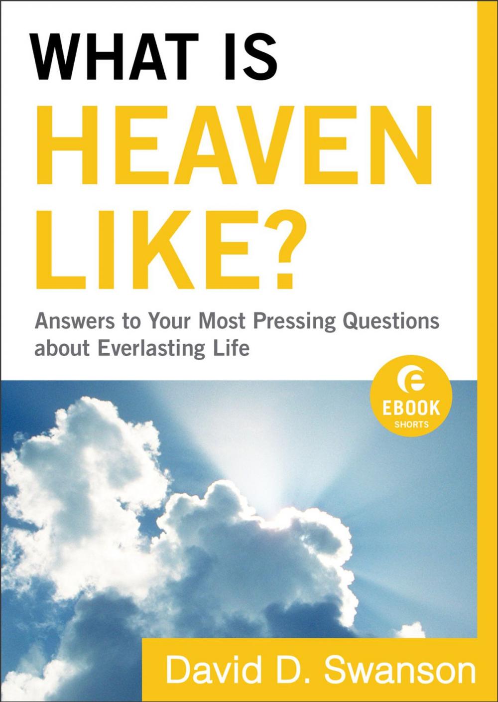 Big bigCover of What Is Heaven Like? (Ebook Shorts)