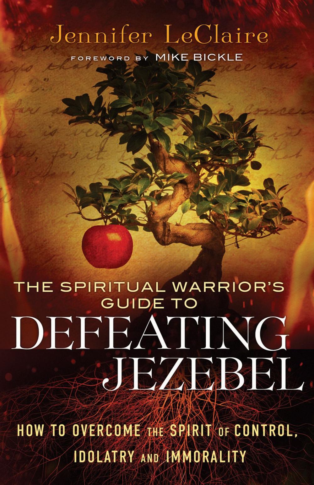 Big bigCover of The Spiritual Warrior's Guide to Defeating Jezebel