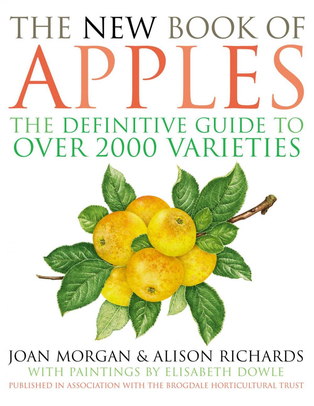 Big bigCover of The New Book of Apples