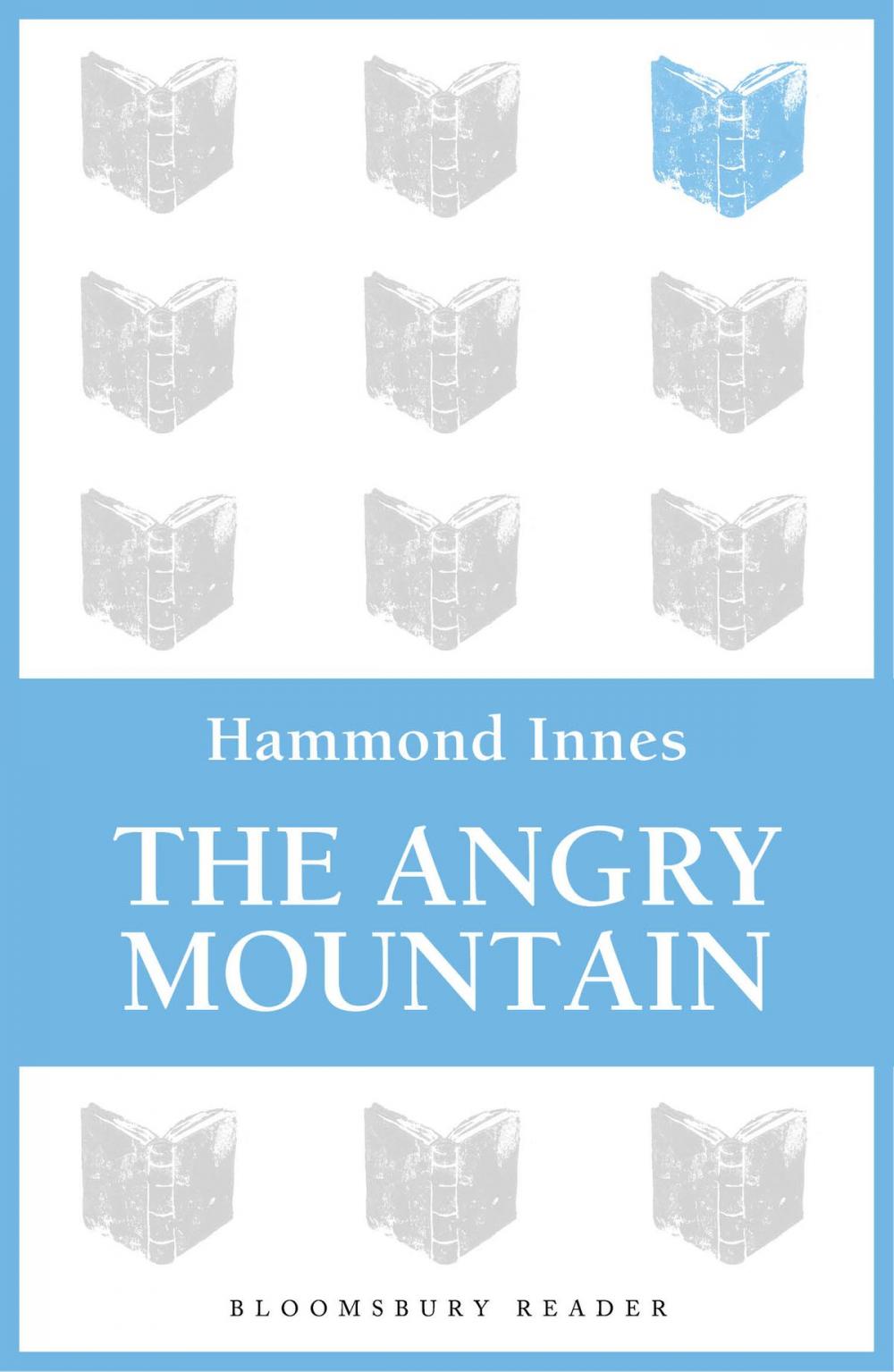 Big bigCover of The Angry Mountain