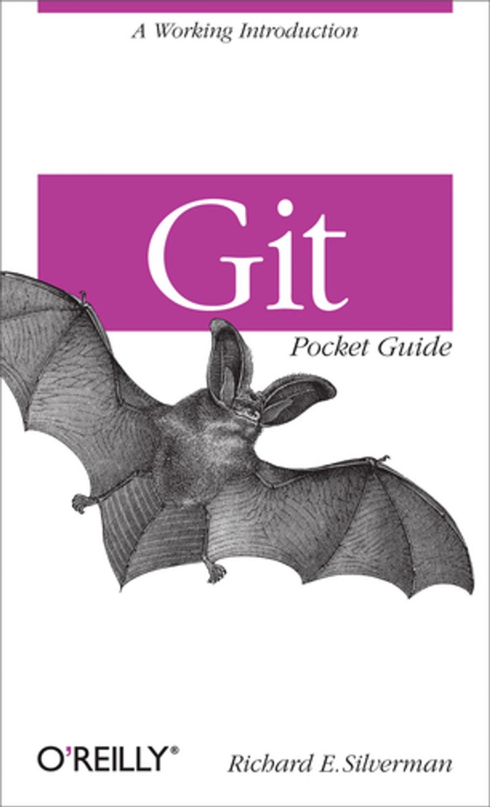 Big bigCover of Git Pocket Guide