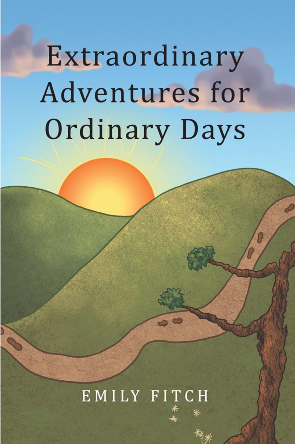 Big bigCover of Extraordinary Adventures for Ordinary Days