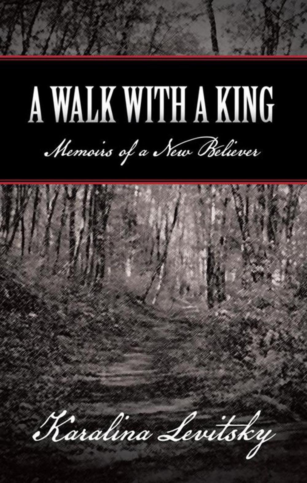 Big bigCover of A Walk with a King