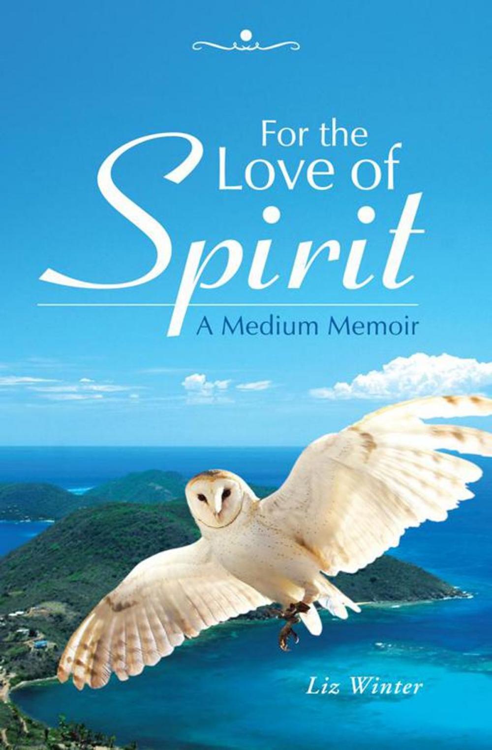 Big bigCover of For the Love of Spirit