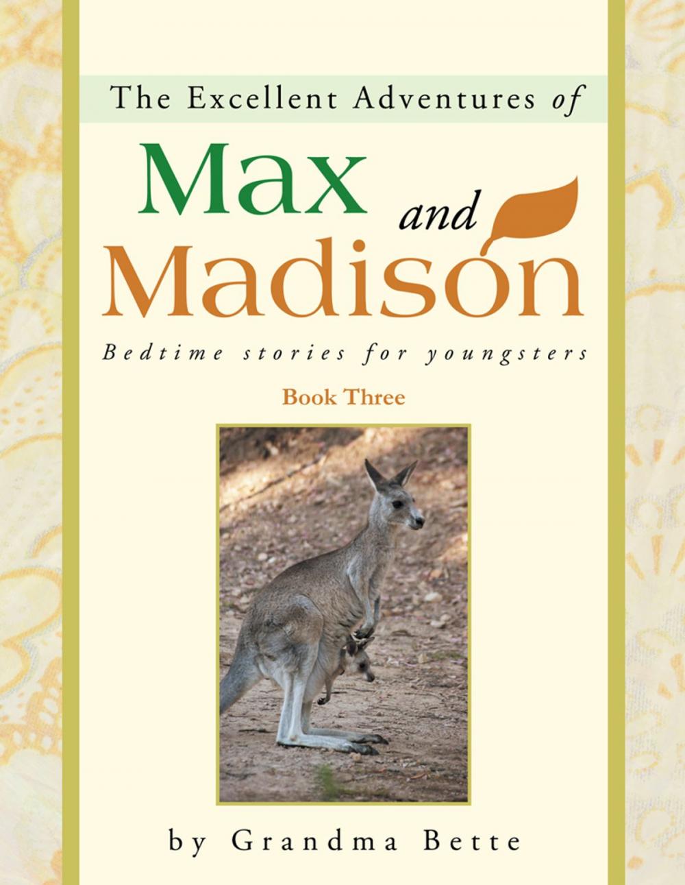 Big bigCover of The Excellent Adventures of Max and Madison