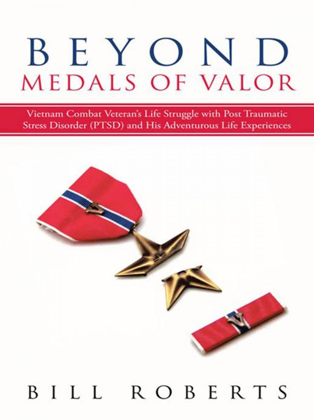 Big bigCover of Beyond Medals of Valor