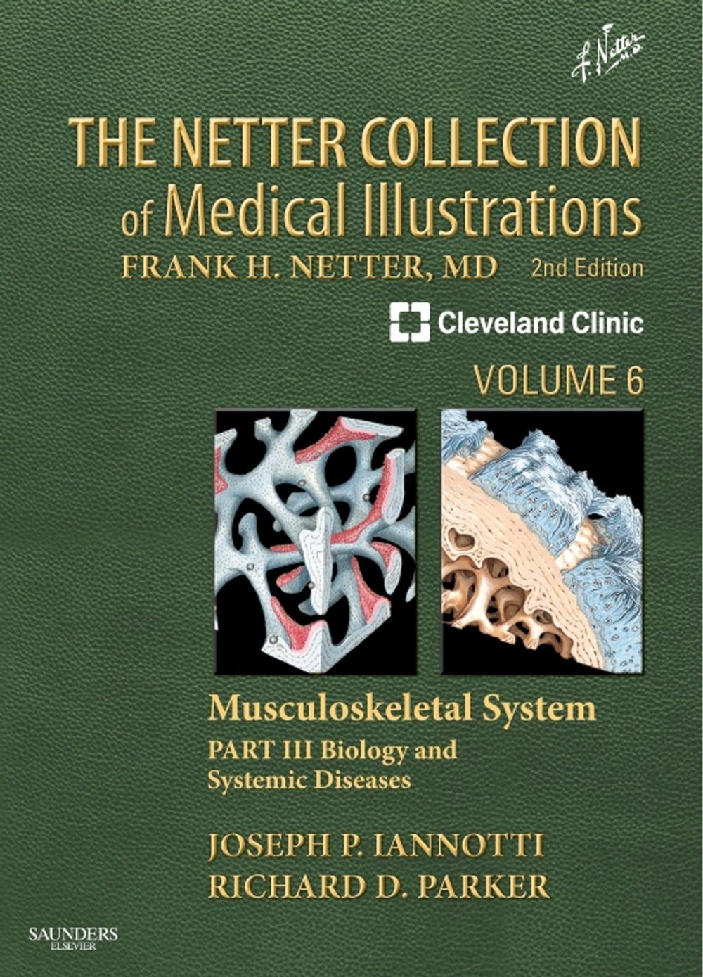 Big bigCover of The Netter Collection of Medical Illustrations: Musculoskeletal System, Volume 6, Part III - Musculoskeletal Biology and Systematic Musculoskeletal Disease E-Book