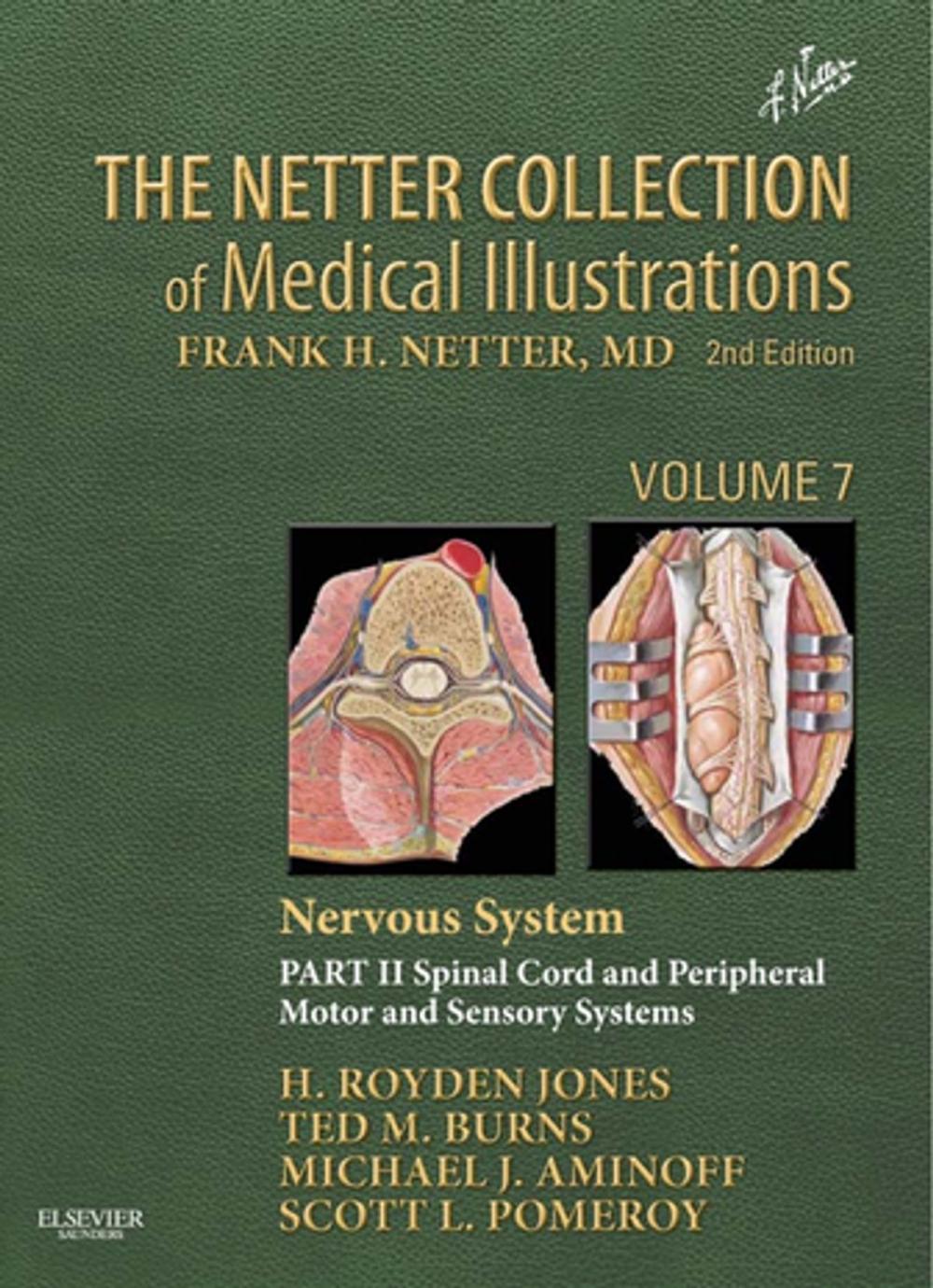 Big bigCover of The Netter Collection of Medical Illustrations: Nervous System, Volume 7, Part II - Spinal Cord and Peripheral Motor and Sensory Systems E-Book