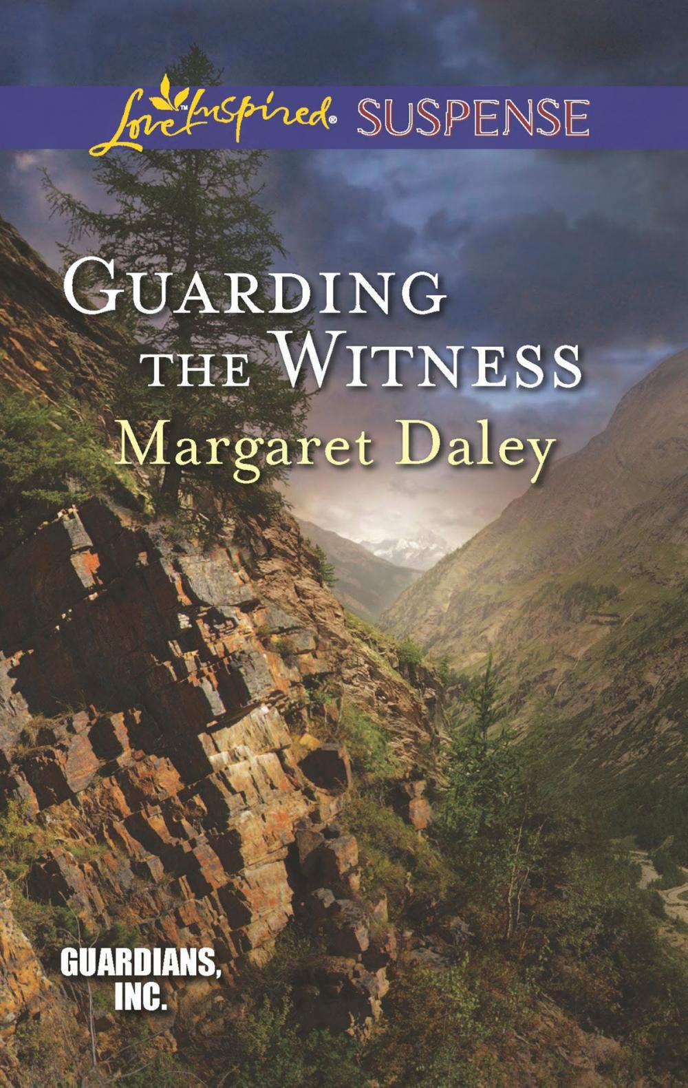 Big bigCover of Guarding the Witness