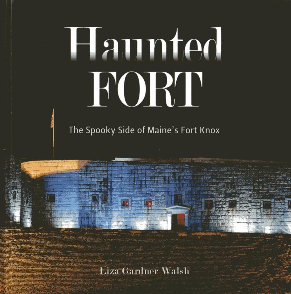 Big bigCover of The Haunted Fort